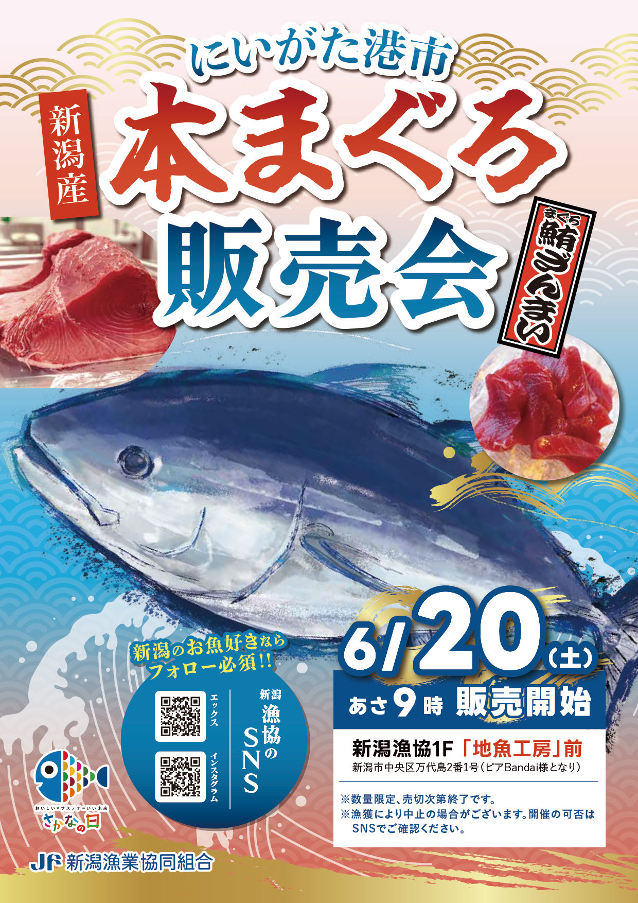 6/20 新潟港本まぐろ販売会 - JF新潟漁連｜新潟県漁業協同組合連合会 
