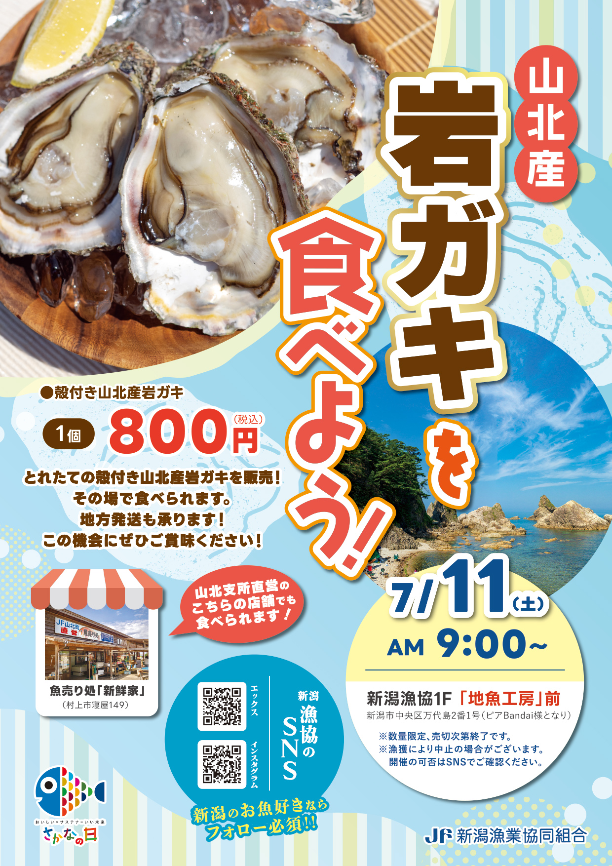 7/11 山北産岩ガキを食べよう 販売会 - JF新潟漁連｜新潟県漁業協同