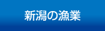 新潟の漁業