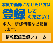 本気で漁師になりたい方は登録してください!!
求人・研修情報など配信します。
情報配信登録フォームへ